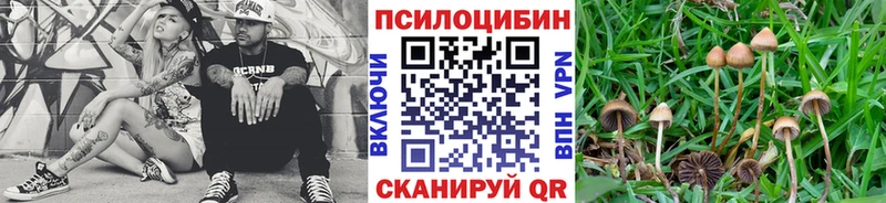 Псилоцибиновые грибы GOLDEN TEACHER  Бутурлиновка 